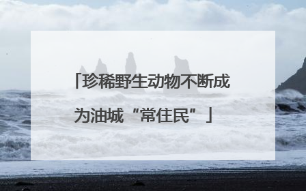 珍稀野生动物不断成为油城“常住民”
