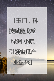 玉门：科技赋能戈壁绿洲 小院引领蜜瓜产业振兴