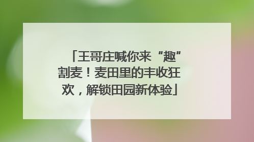 王哥庄喊你来“趣”割麦！麦田里的丰收狂欢，解锁田园新体验