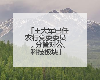 王大军已任农行党委委员，分管对公、科技板块