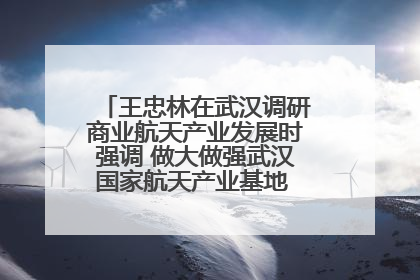 王忠林在武汉调研商业航天产业发展时强调 做大做强武汉国家航天产业基地 打造具有全国影响力的“中国星谷”