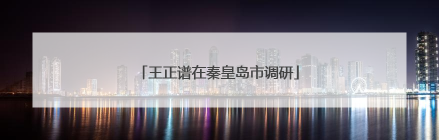 王正谱在秦皇岛市调研