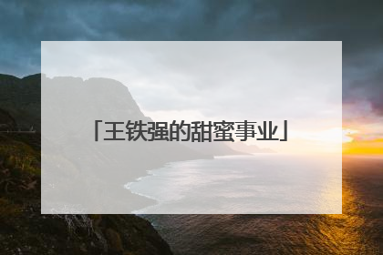王铁强的甜蜜事业