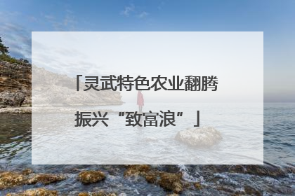灵武特色农业翻腾振兴“致富浪”