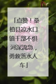 点赞！桑植县凉水口镇干部不惧河深流急，勇救落水人车