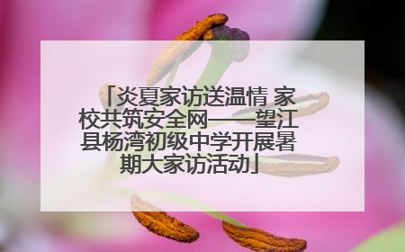 炎夏家访送温情 家校共筑安全网——望江县杨湾初级中学开展暑期大家访活动
