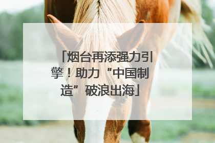 烟台再添强力引擎！助力“中国制造”破浪出海