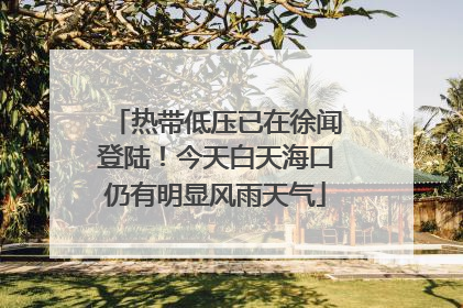 热带低压已在徐闻登陆！今天白天海口仍有明显风雨天气