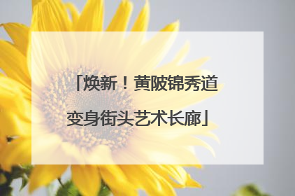 焕新！黄陂锦秀道变身街头艺术长廊