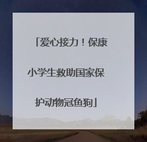 爱心接力！保康小学生救助国家保护动物冠鱼狗
