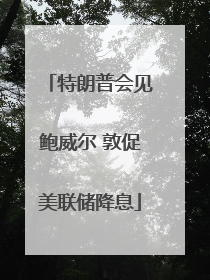 特朗普会见鲍威尔 敦促美联储降息