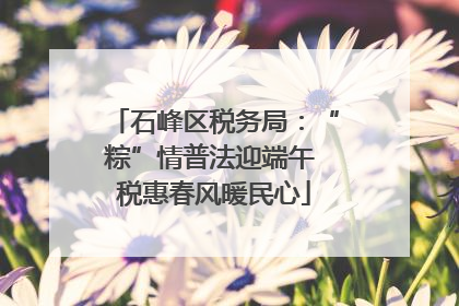 石峰区税务局：“粽”情普法迎端午 税惠春风暖民心