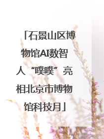 石景山区博物馆AI数智人“噗噗”亮相北京市博物馆科技月