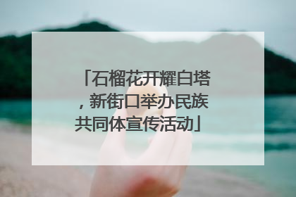 石榴花开耀白塔，新街口举办民族共同体宣传活动