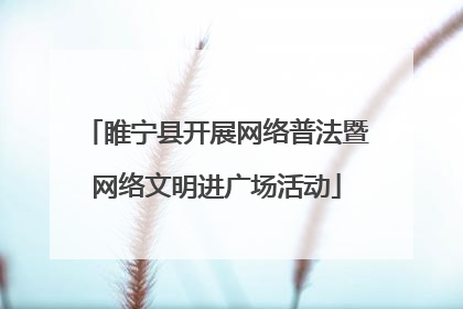 睢宁县开展网络普法暨网络文明进广场活动