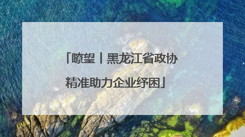 瞭望丨黑龙江省政协精准助力企业纾困