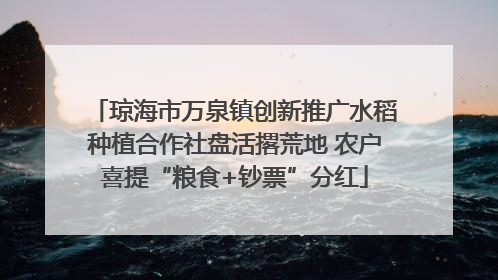琼海市万泉镇创新推广水稻种植合作社盘活撂荒地 农户喜提“粮食+钞票”分红