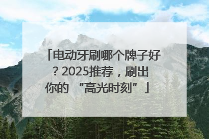 电动牙刷哪个牌子好？2025推荐，刷出你的 “高光时刻”