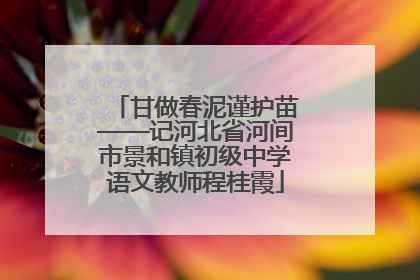 甘做春泥谨护苗——记河北省河间市景和镇初级中学语文教师程桂霞
