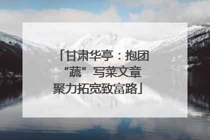 甘肃华亭：抱团“蔬”写菜文章 聚力拓宽致富路