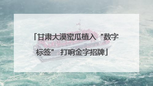 甘肃大漠蜜瓜植入“数字标签” 打响金字招牌