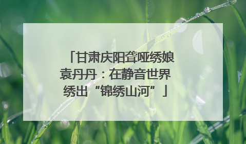 甘肃庆阳聋哑绣娘袁丹丹：在静音世界绣出“锦绣山河”