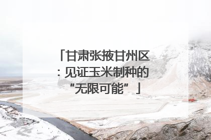 甘肃张掖甘州区：见证玉米制种的“无限可能”