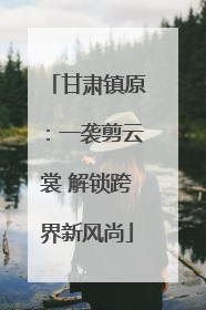 甘肃镇原：一袭剪云裳 解锁跨界新风尚