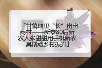 甘薯地里“长”出电商村——新泰80后新农人张甜甜用手机新农具撬动乡村振兴