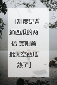 甜度是普通西瓜的两倍 襄阳首批太空西瓜熟了