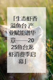 生态虾香溢鱼台 产业赋能谱华章——2025鱼台龙虾消费季启幕