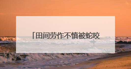 田间劳作不慎被蛇咬伤 石峰区医联体协作跑出急救新速度