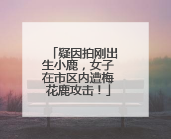 疑因拍刚出生小鹿，女子在市区内遭梅花鹿攻击！
