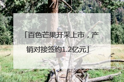 百色芒果开采上市，产销对接签约1.2亿元
