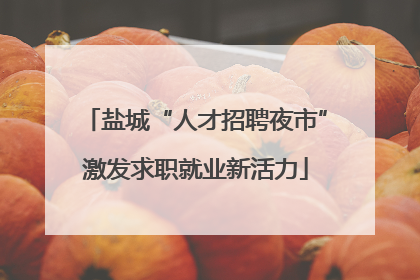 盐城“人才招聘夜市”激发求职就业新活力
