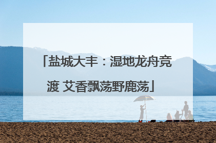 盐城大丰：湿地龙舟竞渡 艾香飘荡野鹿荡