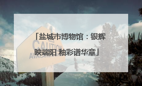 盐城市博物馆：银辉映端阳 釉彩谱华章