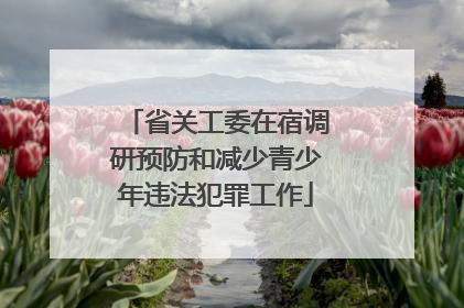 省关工委在宿调研预防和减少青少年违法犯罪工作