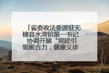 省委政法委派驻无棣县水湾镇第一书记 协调开展“党建引领聚合力，健康义诊惠乡亲”义诊活动