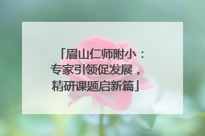 眉山仁师附小：专家引领促发展，精研课题启新篇