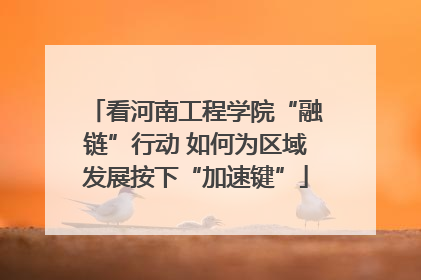 看河南工程学院“融链”行动 如何为区域发展按下“加速键”