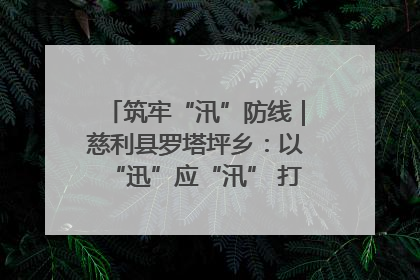 筑牢“汛”防线｜慈利县罗塔坪乡：以“迅”应“汛” 打赢暴雨防御战