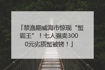 禁渔期威海市惊现“蟹霸王”！七人强卖3000元劣质蟹被铐！