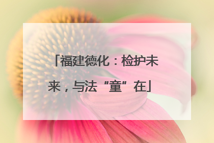 福建德化：检护未来，与法“童”在
