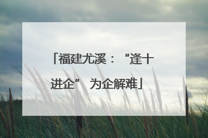 福建尤溪：“逢十进企” 为企解难