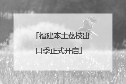 福建本土荔枝出口季正式开启