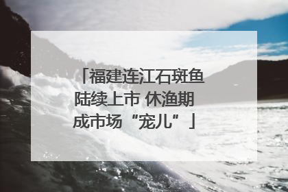 福建连江石斑鱼陆续上市 休渔期成市场“宠儿”