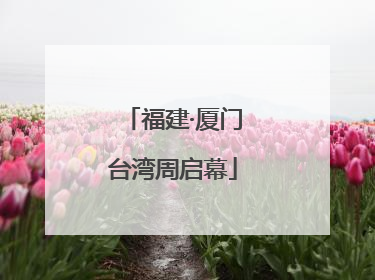 福建·厦门台湾周启幕