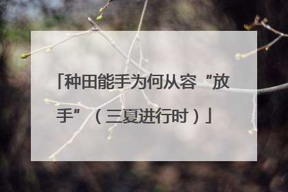 种田能手为何从容“放手”（三夏进行时）