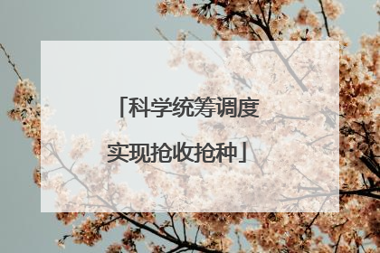 科学统筹调度实现抢收抢种